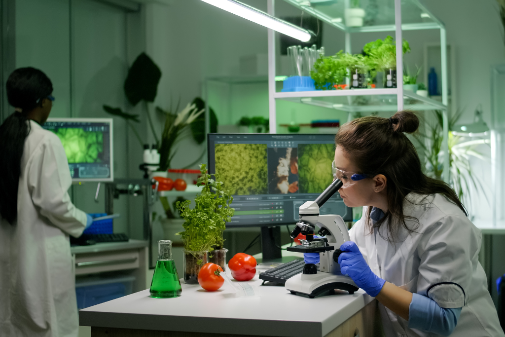 Best Food Testing Lab in Coimbatore for Food Manufacturers and Exporters
